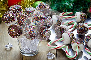 Homemade sweetness with candy cane, marshmallow, chocolate and sprinkles.
