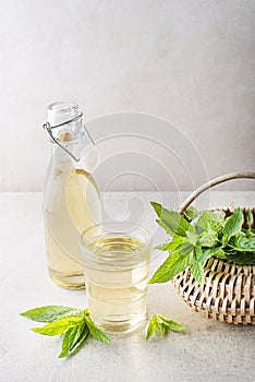 Homemade syrup with fresh Mint leaves