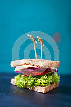 Homemade tasty vegetarian sandwich with fresh vegetables and cheese