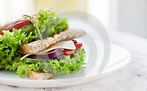 Homemade tasty vegetarian sandwich with fresh vegetables and cheese
