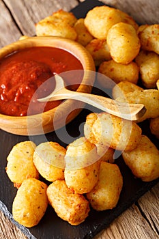 Homemade tater tots with tomato sauce close up. Vertical