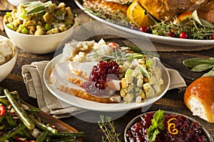 Homemade Thanksgiving Turkey on a Plate