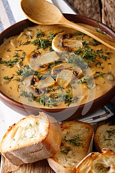 Homemade thick mushroom soup and toast close-up. vertical