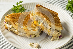 Homemade Toasted Tuna Melt Sandwich