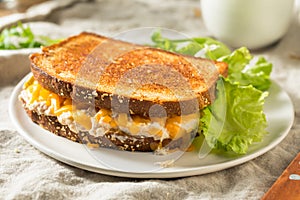 Homemade Toasted Tuna Melt Sandwich