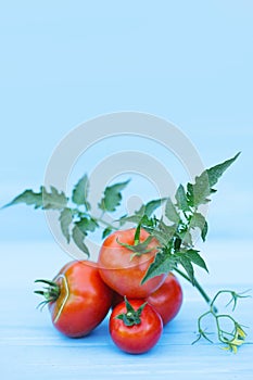 Homemade tomato with leaves.