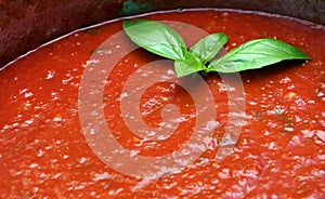 Homemade tomato sauce