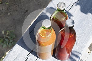 Homemade Tomato sauce in the bottle