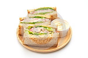 Homemade Tuna Sandwich on white background