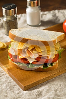 Homemade Turkey Chip Sandwich