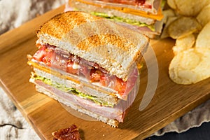 Homemade Turkey Club Sandwich