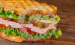 Homemade Turkey Sandwich with Lettuce Tomato Onion