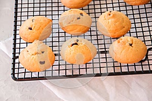 Homemade vanilla cookies with chocolate chips on a wire rack. White stone background.