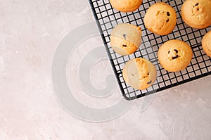 Homemade vanilla cookies with chocolate chips on a wire rack. White stone background.