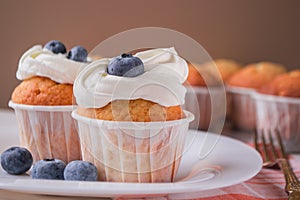 Homemade Vanilla Cupcakes Ready for Breakfast. Vanilla muffins decorated with cream and blueberries.