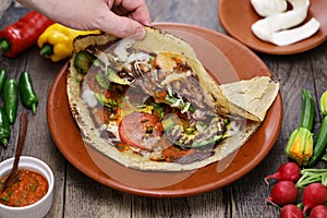 homemade vegetable tlayuda folded in half, Mexican pizza photo