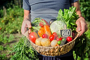 homemade vegetables in the hands of men. harvest. selective focus.