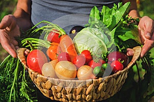 Homemade vegetables in the hands of men. harvest. selective focus.