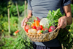 homemade vegetables in the hands of men. harvest. selective focus.