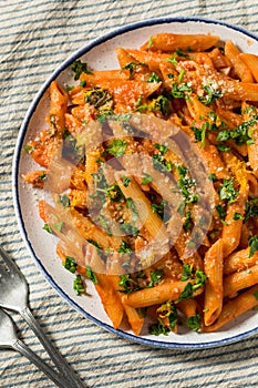 Homemade Vermouth Penne Pasta