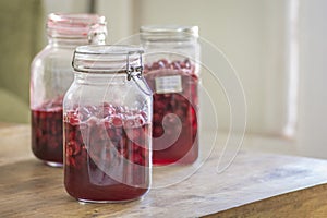 Homemade Vishniac or Visinata liqueur, made of sour Vishnia Cherries