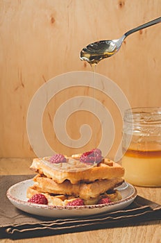 Homemade waffles with berries in plate poured by honey from a spoon/Homemade waffles with berries in plate poured by honey from a