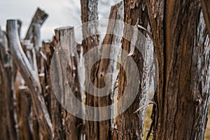 Homemade wattle fence made out of wood in New Zealand