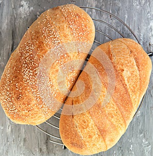 Homemade white bread, loaf of sourdough bread. Fresh loaf of bread on cooling rack