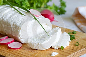 Homemade white cottage cheese on wooden table