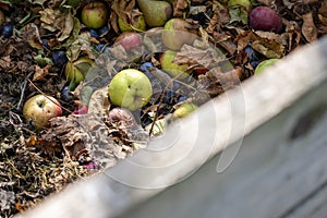 Homemade wooden compost bin in the garden. Recycling organic biodegradable material and household waste in composter. Best organic