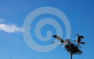 A homemade wooden pair of storks in their nest against the blue sky. A family of storks