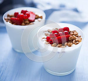 Homemade yogurt with cereals and berries (healthy breakfast)