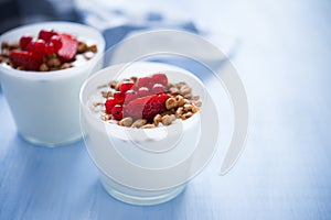 Homemade yogurt with cereals and berries (healthy breakfast)