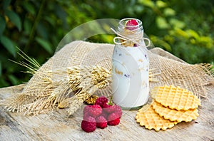 Homemade yogurt with cereals and fruits in a bottle. Fresh organic raspberries and waffles.