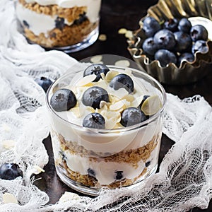 Homemade yogurt with granola muesli and blueberries