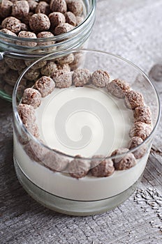 Homemade yogurt with rye bran