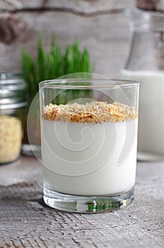 Homemade yogurt with wheat germ