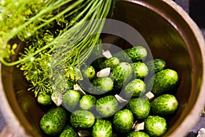 Homemage pickled cucumbers still life food photo