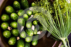 Homemage pickled cucumbers still life food photo