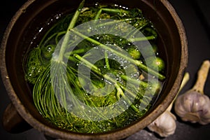 Homemage pickled cucumbers still life food photo