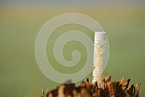 Homeo medicine on a glass bottle closeup