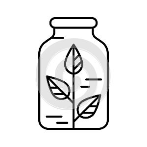 Homeopath logo. Linear bottle with plant inside icon. Black simple illustration. Contour isolated vector image on white background photo