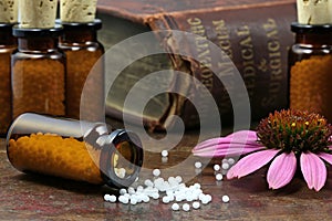Homeopathic echinacea pills
