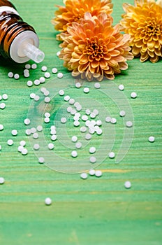 Homeopathic globules on a green wooden background