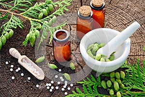 Homeopathic globules, Thuja occidentalis drugs, mortar and pestle.