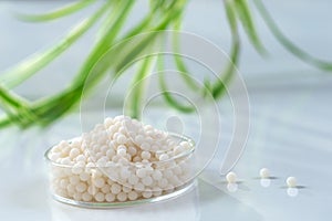 Homeopathic granules .Homeopathic granules in small glass petri dish some granules scattered on the table with