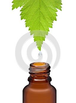 Homeopathic herbal medicine photo