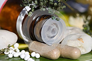 Homeopathic pills over a green leaf photo
