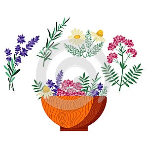 Homeopathic Plants Wooden Bowl with Herbs