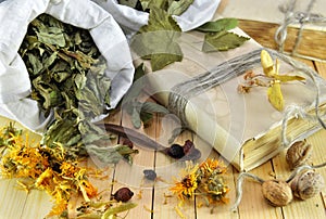 Homeopathic still life with dried leaves, flowers and old book